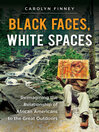 Cover image for Black Faces, White Spaces